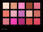 AMBASSADOR INFINITE CHROMA MAKEUP KIT
