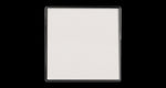 Eyeshadow: Matte
