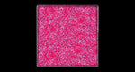 Eyeshadow: Shimmer
