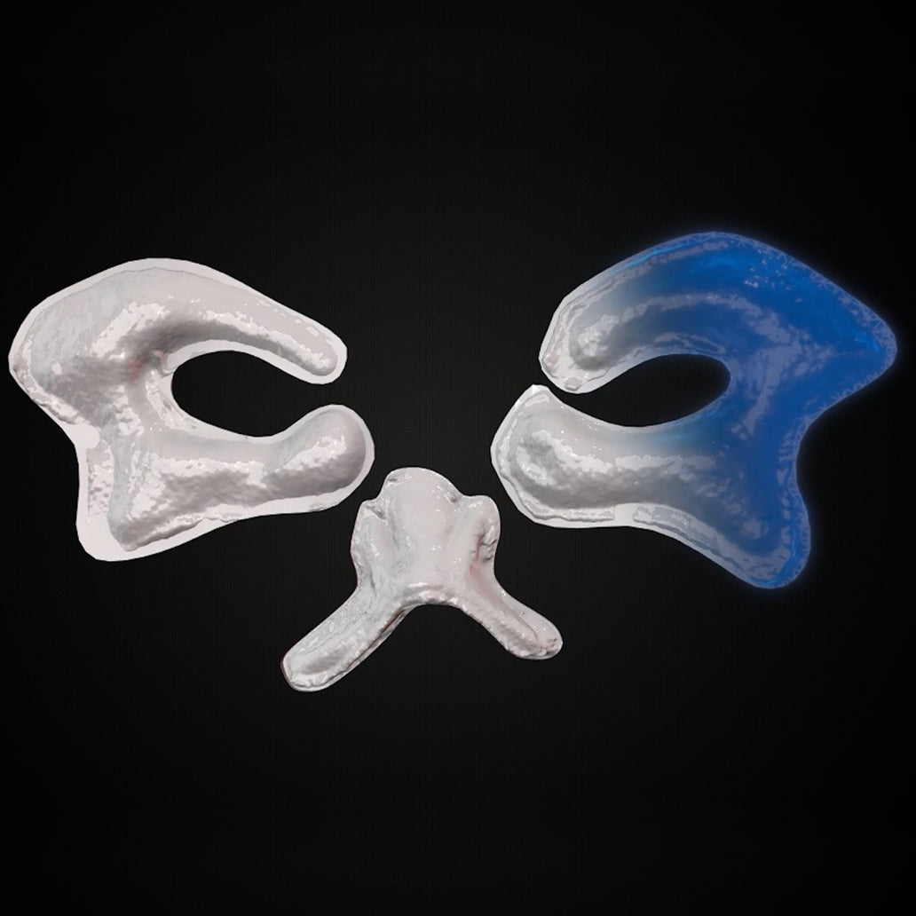 Infinite Chroma SFX Prosthetic Makeup Kit.