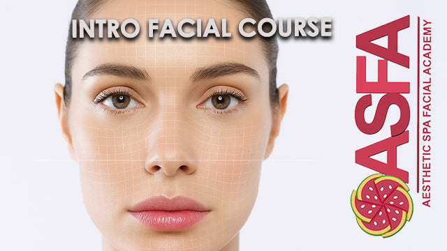 Introductory Facial Course